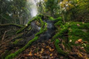 La Foto del Giorno (4 nov.)