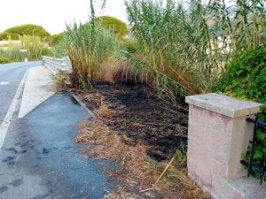 Principio di incendio a Marina di Campo