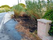 Principio di incendio a Marina di Campo