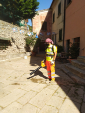 Comune di Marciana e Civitas: l'impegno per una "più gentile" cura del verde