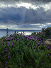 La Foto del Giorno (26 apr.)