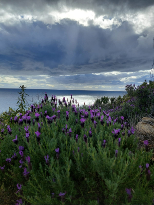 La Foto del Giorno (26 apr.)