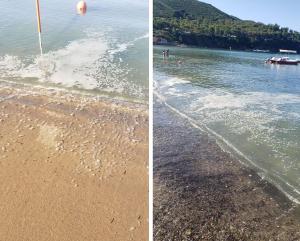 Video - A Sciambere: Le spiaggianti cacche di Lacona