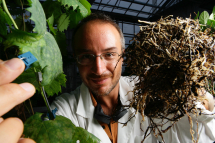 Alla Sala Nello Santi Stefano Mancuso in 'Plant Revolution'