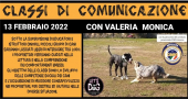 Tornano le Classi di Comunicazione e Socializzazione di Let's Dog a.s.d