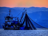 La seconda foto premiata per il concorso la Foto della Settimana sul tema "rete" è di Claudio Dellea