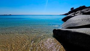 La Foto del Giorno (5 apr.)