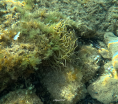 La Foto del Giorno (13 feb.)