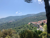 Marciana: ricomincia il servizio navetta Mare&amp;Shopping