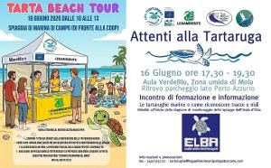 Un giorno dedicato alle tartarughe marine all’Isola d’Elba