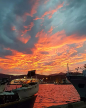 La Foto del Giorno (20 gen.)