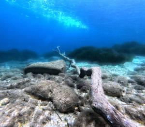 La Foto del Giorno (4 gen.)