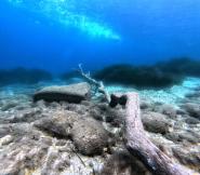 La Foto del Giorno (4 gen.)