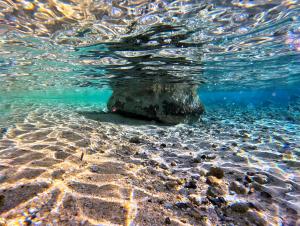 La Foto del Giorno (24 gen.)