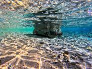 La Foto del Giorno (24 gen.)