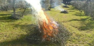 Incendi boschivi, scatta il divieto assoluto di accensione fuochi