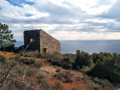 La Foto del Giorno (30 gen.)