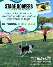 Stage di Hoopers al centro cinofilo The Bark Side