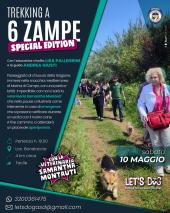 Trekking a 6 zampe Let's Dog, edizione speciale con il veterinario