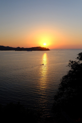 La Foto del Giorno (28 ago.)