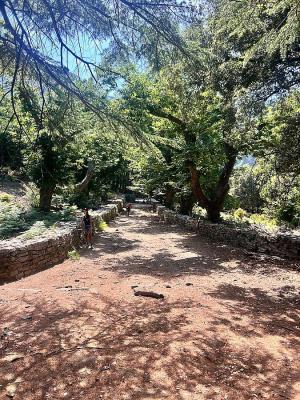 Castanetum Flower Festival a Marciana: il successo dell’esordio e due nuovi appuntamenti