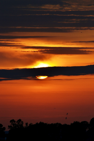 La Foto del Giorno (9 mag.)