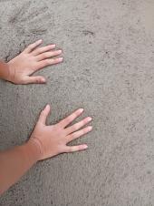 Comune di Capoliveri e IC Carducci insieme per dire NO ad ogni forma di bullismo giovanile