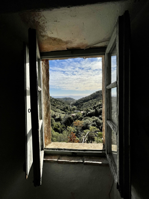 La Foto del Giorno (29 nov.)