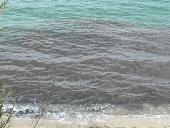 Foto-Video notizia: Chiazza scura galleggiante in avvicinamento da sud ai litorali campesi