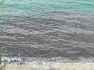 Foto-Video notizia: Chiazza scura galleggiante in avvicinamento da sud ai litorali campesi