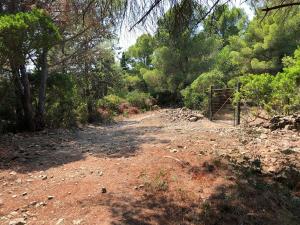 Area di Galenzana, ci risiamo: realizzato un altro stradone verso Capo Poro