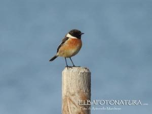 La Foto del Giorno (27 mar.)