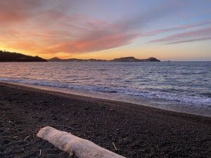 La Foto del Giorno (26 mar.)