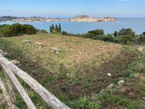 Un branco di cinghiali invade ed "ara" l'area archeologica della Villa Romana delle Grotte