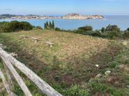 Un branco di cinghiali invade ed "ara" l'area archeologica della Villa Romana delle Grotte