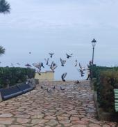 La Foto del Giorno (22 dic.)