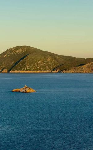 La Foto del Giorno (5 feb.)