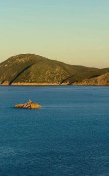 La Foto del Giorno (5 feb.)