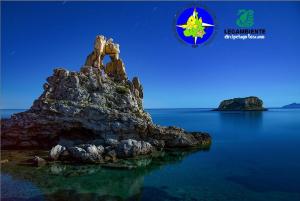 Insieme per la tutela delle tartarughe marine a Pianosa