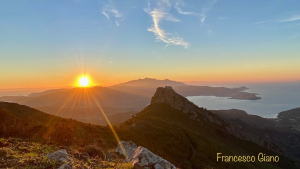 La Foto del Giorno (8 dic.)