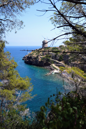 La Foto del Giorno (29 lug.)