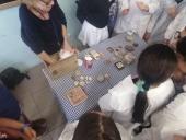 Alla scoperta dei fossili: l’iniziativa dell’associazione Carlo d’Ego e l’Istituto G. Carducci