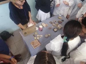 Alla scoperta dei fossili: l’iniziativa dell’associazione Carlo d’Ego e l’Istituto G. Carducci