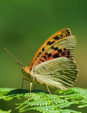 La Foto del Giorno (16 giu.)