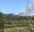 Incendio boschivo a Capo d'Arco 