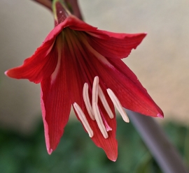 La Foto del Giorno (16 mag.)