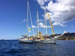 Mare Monstrum-Golette 2022. Numeri e storie di aggressioni all&#039;ecosistema marino