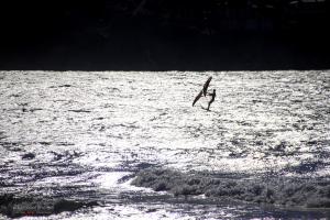 La Foto del Giorno (8 apr.)