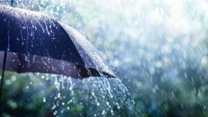 Previsti pioggia e temporali per domani (25 maggio), codice giallo per tutta Toscana