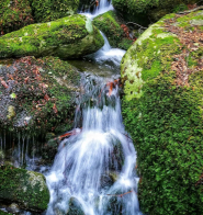 Ragionamento elbano sui quattro elementi: 1 - L'acqua